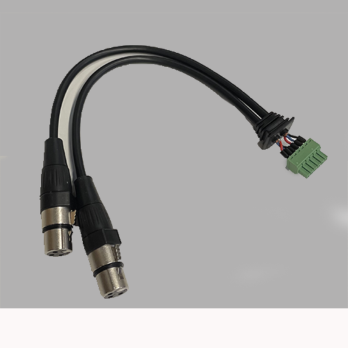 AU-X2IPRO-2XF | 2 XLR female pre-terminated cable for AU-X2IPRO-DA